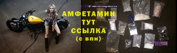 гидра Верея