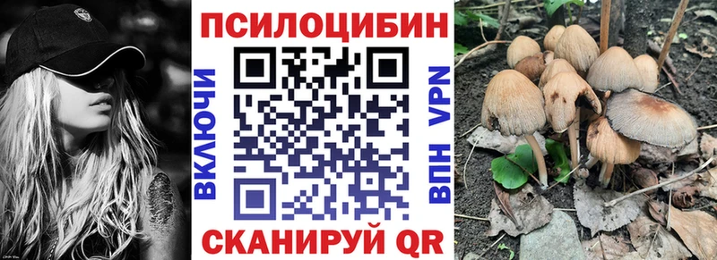 блэк спрут рабочий сайт  Нерчинск  Галлюциногенные грибы GOLDEN TEACHER  где купить наркоту 